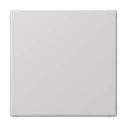 Заглушка Jung LS 990 светло-серая LS994BLG