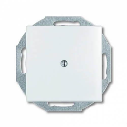 Лицевая панель ABB Basic55 заглушка альпийский белый 2CKA001715A0312
