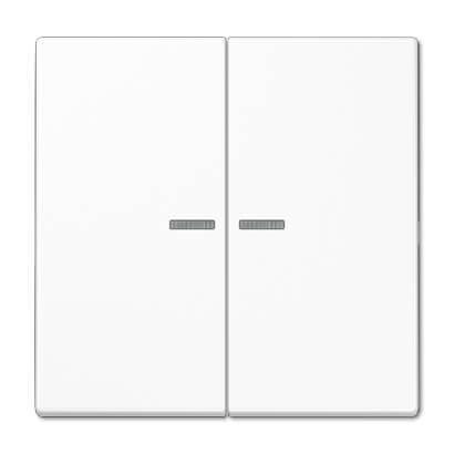 Клавиша двойная перекидная Jung LS995KO5WW