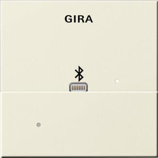 Лицевая панель Apple Lightning Gira System 55 для вставки док-станции кремовый глянцевый 228701