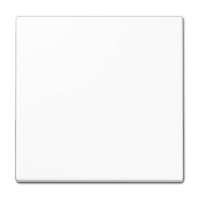 Розетка с заземлением с крышкой винтовой зажим Jung LS 990 белая LS521KLWW