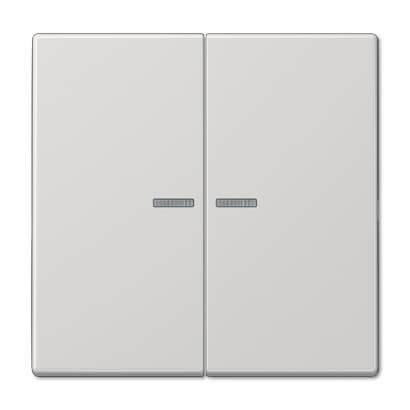 Клавиша двойная перекидная Jung LS995KO5LG