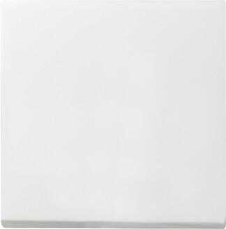 Лицевая панель Gira System 55 выключателя одноклавишного чисто-белый шелковисто-матовый 029627