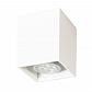Потолочный светильник TopDecor Tubo6 SQ P1 10 - фото №1