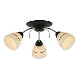 Потолочная люстра Toplight Winnifred TL1255D-03BC