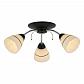 Потолочная люстра Toplight Winnifred TL1255D-03BC - фото №1