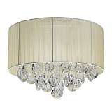 Потолочная люстра MW-Light Жаклин 465016906