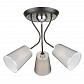 Потолочная люстра Freya Odri FR5030CL-03B - фото №3