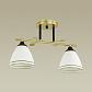 Потолочная люстра Lumion Comfi Becky 4544/2C - фото №4