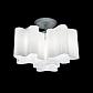 Потолочная люстра Lightstar Nubi Ondoso 802031 - фото №2