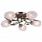 Потолочная люстра Arte Lamp Anetta A6157PL-5AB - фото №2