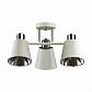 Потолочная люстра Lumion Comfi Gretchen 5219/3C - фото №1
