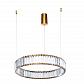 Подвесной светодиодный светильник Divinare Renata 1135/17 SP-25 - фото №1