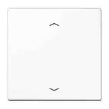 Накладка Jung LS5232FWW