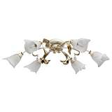 Потолочная люстра MW-Light Восторг 242017406