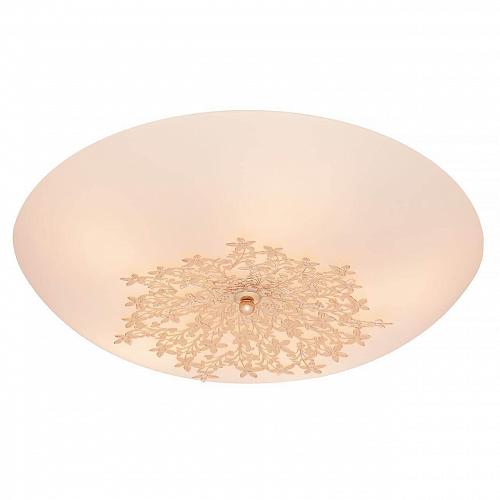 Потолочный светильник Silver Light Verbena 835.50.5