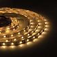 Светодиодная влагозащищенная лента Apeyron 4,8W/m 60LED/m 3528SMD теплый белый 5M 00-72 - фото №1