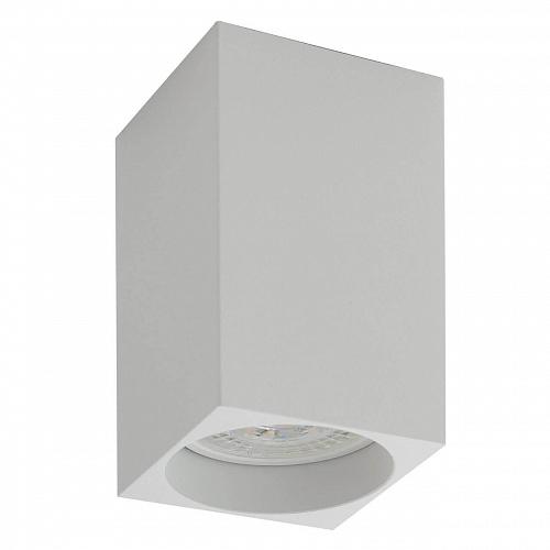 Потолочный светильник Denkirs DK2009-WH