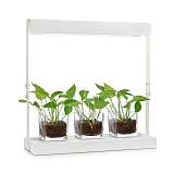 Лампа Markslojd 107025