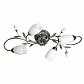 Потолочная люстра MW-Light Верона 334013504 - фото №1