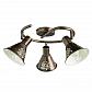 Спот Arte Lamp Cono A5218PL-3BR - фото №1