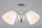 Потолочная люстра Omnilux Novello OML-56307-05 - фото №3