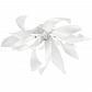 Потолочная люстра Lightstar Turbio 754166 - фото №1