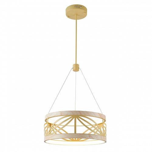 Подвесной светодиодный светильник Favourite Yolandi 2422-5P