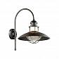 Уличный настенный светильник Odeon Light Nature Dante 4164/1WA - фото №1