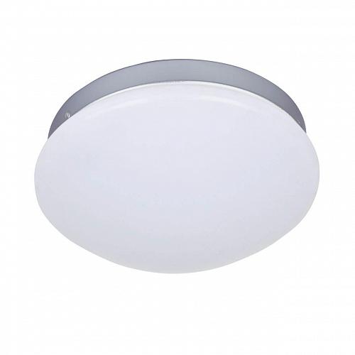 Потолочный светодиодный светильник F-Promo Ledante 2467-1C