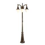 Светильник Arte Lamp A1317PA-3BN