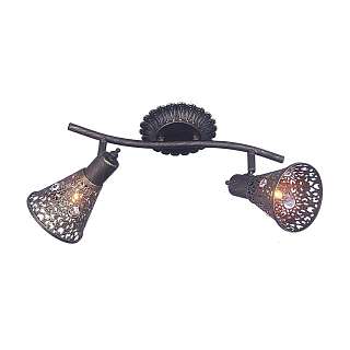 Споты с двумя плафонами Favourite