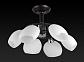 Потолочная люстра Toplight Marianna TL2660X-06WC - фото №3