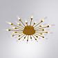 Потолочная люстра Arte Lamp Maple A1276PL-24GO - фото №2