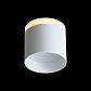 Потолочный светодиодный светильник ST Luce Panaggio ST102.502.12 - фото №4
