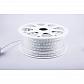Светодиодная влагозащищенная лента Feron 11W/m 60LED/m 5050SMD RGB 50M LS706 32718 - фото №1