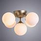 Потолочная люстра Arte Lamp Fobos A2704PL-5SG - фото №3