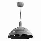 Подвесной светильник Arte Lamp Loft A5026SP-1GY