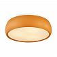 Потолочный светильник Lumion Moderni Timo 4414/3C - фото №1