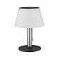 Светильник на солнечных батареях Paulmann Solar Tischl Lillesol 94309 - фото №1