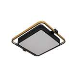 Потолочный светодиодный светильник Loft IT Mike 10171