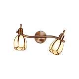 Спот Citilux CL522621