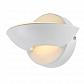 Настенный светодиодный светильник Globo Sammy 76003 - фото №2