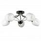 Потолочная люстра Arte Lamp Brighton A2706PL-5CK - фото №1
