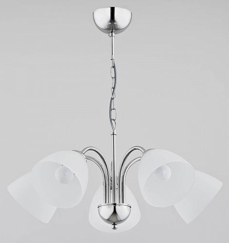 Подвесная люстра Alfa Tora 21255