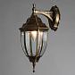 Уличный настенный светильник Arte Lamp Pegasus A3152AL-1BN - фото №4