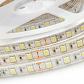 Светодиодная влагозащищенная лента Apeyron 14,4W/m 60Led/m 5050SMD холодный белый 1M 259BL - фото №2