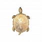 Настенный светодиодный светильник Favourite Turtle 2254-1W - фото №3