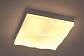 Потолочный светодиодный светильник Escada 10241/4LED - фото №4