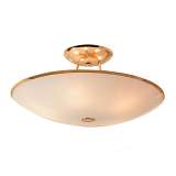 Светильник Citilux CL911203